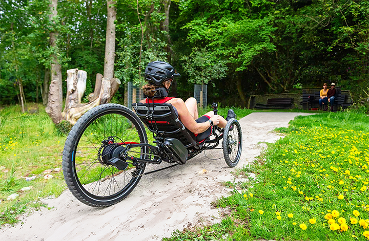 Aangepaste trike